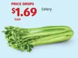 Aldi Celery offer