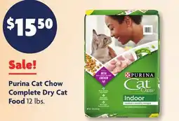Family Dollar Purina Cat Chow Complete Dry Cat Food offer