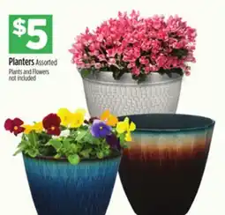 Dollar General Planters offer