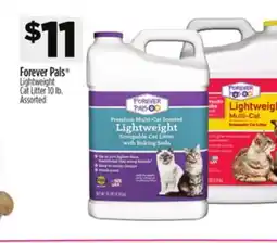 Dollar General Forever Pals Lightweight Cat Litter offer