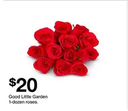 Target Good Little Garden 1-dozen roses offer