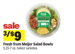 Meijer Fresh from Meijer Salad Bowls offer
