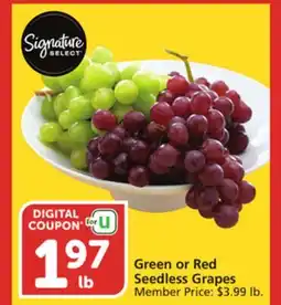Albertsons Green or Red Seedless Grapes offer