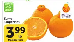 Albertsons Sumo Tangerines offer