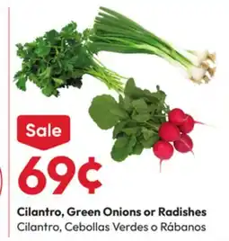 Stater Bros Cilantro, Green Onions or Radishes offer