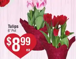 Smart & Final Tulips offer