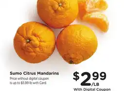 Ralphs Sumo Citrus Mandarins offer