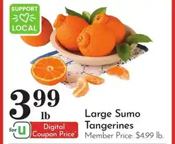 Pavilions Large Sumo Tangerines offer
