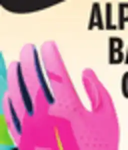 Big 5 Nike Youth Alpha 2.0 T-Ball Batting Gloves offer