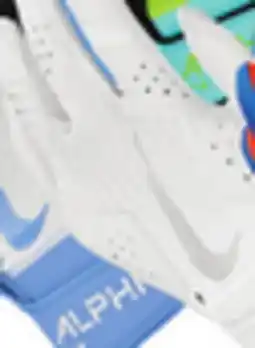 Big 5 Nike Alpha 2.0 Youth Batting Gloves offer