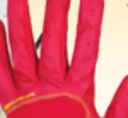 Big 5 Franklin Classic One Chrome Adult Batting Gloves offer