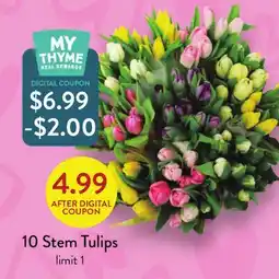 Fresh Thyme 10 Stem Tulips offer