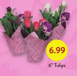 Fresh Thyme 6 Tulips offer