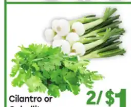 Tony’s Fresh Market Cilantro or Cebollitas offer