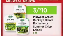 Heinen's Midwest Grown Buckeye Blend, Romaine or Summer Crisp Salads offer