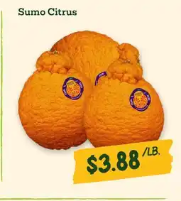 Sprouts Farmers Market Sumo Citrus offer