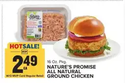 Food Lion Nature's Promise All Natural Ground Chicken offer
