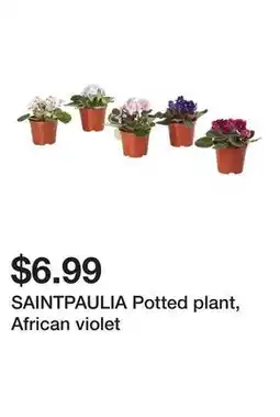 Ikea SAINTPAULIA Potted plant, African violet offer