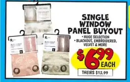 Ollie's SINGLE WINDOW PANEL BUYOUT offer