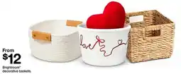 Target Brightroom decorative baskets offer