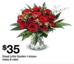 Target Good Little Garden 1-dozen roses & vase offer