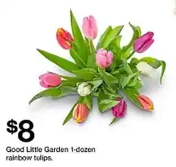 Target Good Little Garden 1-dozen rainbow tulips offer