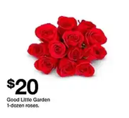 Target Good Little Garden 1-dozen roses offer