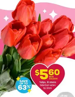 Grocery Outlet Tulips offer