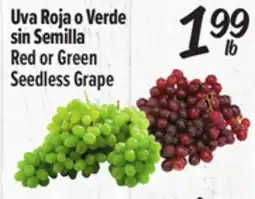 El Super Red or Green Seedless Grape offer