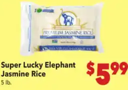 Vallarta Supermarkets Super Lucky Elephant Jasmine Rice offer