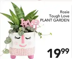 Pete's Fresh Market Rosie Tough Love PLANT GARDEN offer