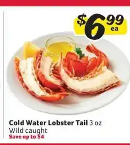 Winn Dixie Cold Water Lobster Tail offer