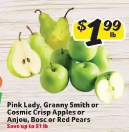 Winn Dixie Pink Lady, Granny Smith or Cosmic Crisp Apples or Anjou, Bosc or Red Pears offer