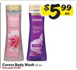 Winn Dixie Caress Body Wash offer