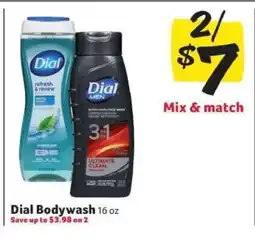 Winn Dixie Dial Bodywash offer