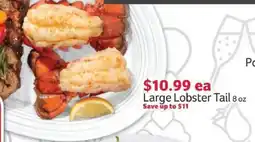 Winn Dixie Large Lobster Tail offer
