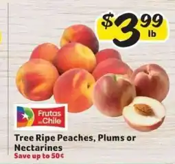 Winn Dixie Tree Ripe Peaches, Plums or Nectarines offer