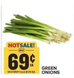 Food Lion Green Onions offer