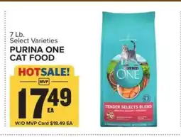 Food Lion Purina ONE Cat Food offer