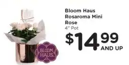 Kroger Bloom Haus Rosaroma Mini Rose offer