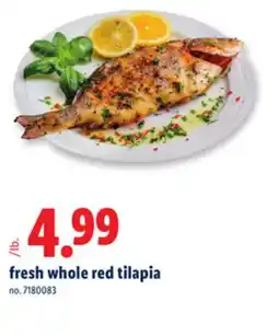 Lidl fresh whole red tilapia offer