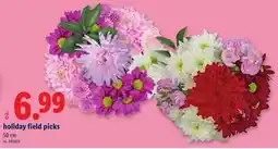 Lidl holiday field picks offer