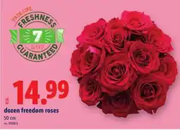 Lidl dozen freedom roses offer