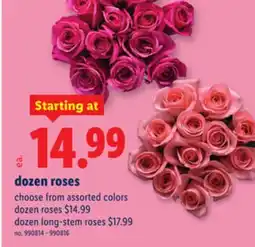 Lidl dozen roses offer