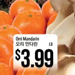 Hmart Orri Mandarin offer