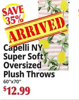 Ocean State Job Lot Capelli NY Super Soft Oversized Plush Throws offer
