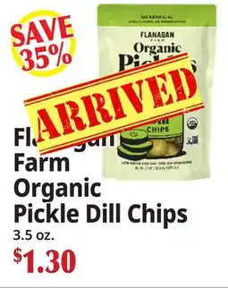 Ocean State Job Lot Flanagan Farm Organic Pickle Dill Chips offer
