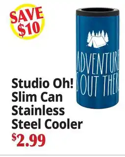 Ocean State Job Lot Studio Oh! Slim Can Stainless Steel Cooler offer