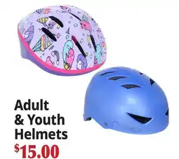 Ocean State Job Lot Adult & Youth Helmets offer