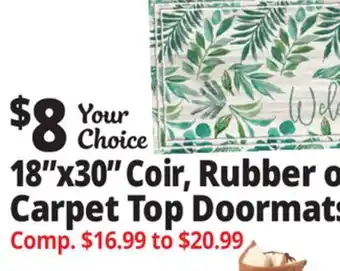 Ocean State Job Lot 18x30 Coir, Rubber or Carpet Top Doormats offer
